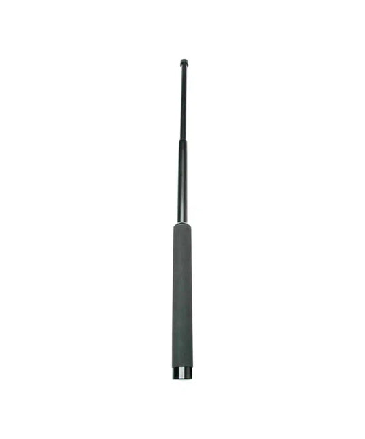 Bâton téléscopique 21