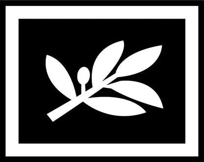 Grades Police Nationale Vetiforces